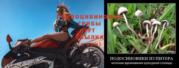 Альфа ПВП Киренск