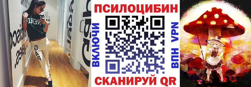 Псилоцибиновые грибы прущие грибы  купить  цена  Норильск 