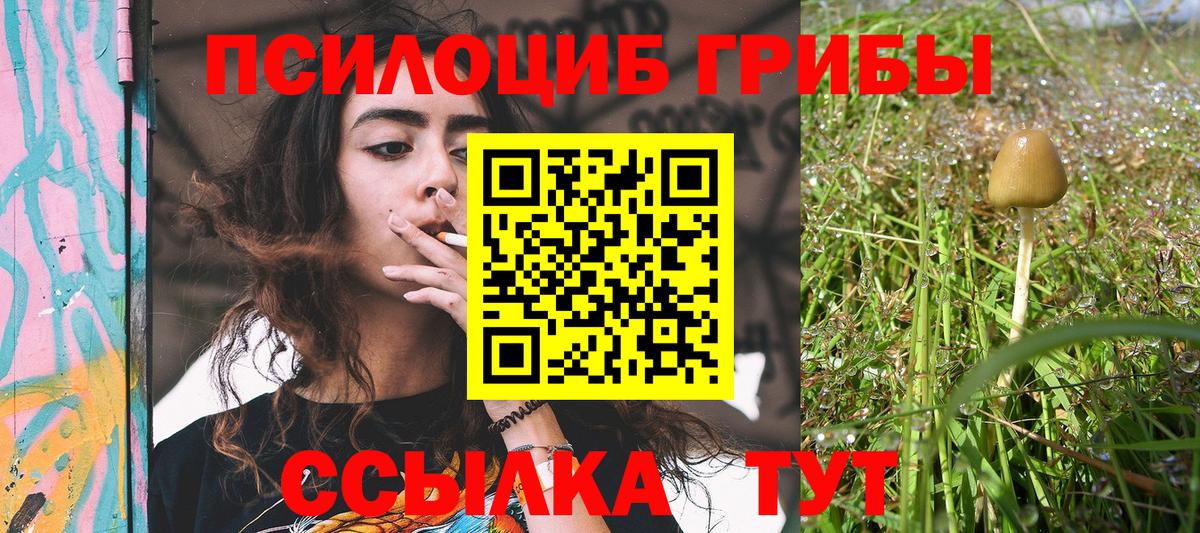Псилоцибиновые грибы Cubensis  Вход с VPN  Норильск 